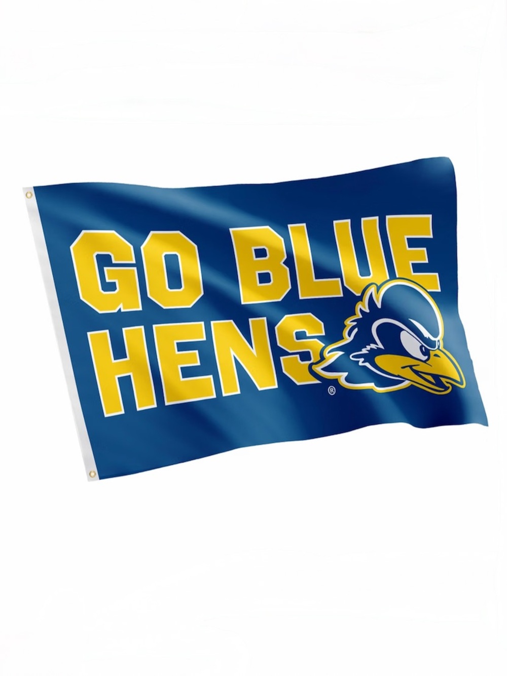 NEW-Desert Cactus University of Delaware UD Flag